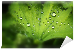Drop (400x400), Png Download