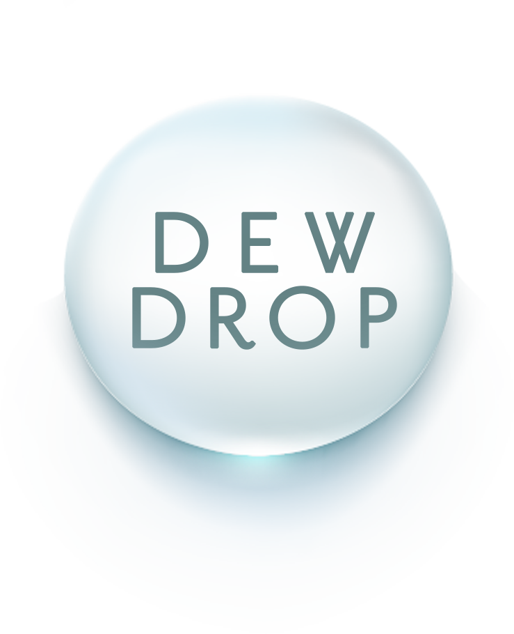 Circle (739x910), Png Download