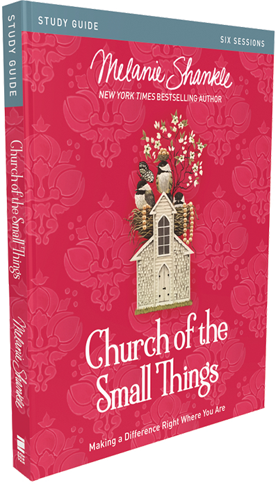 Church Of The Small Things Study Guide - Zondervan 178878 Church Of The Small Things Video Study (400x699), Png Download