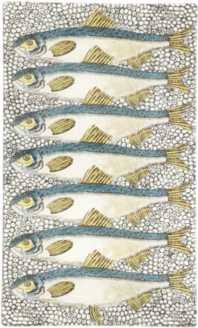 Sardines Sardines - John Derian Company Inc (500x500), Png Download