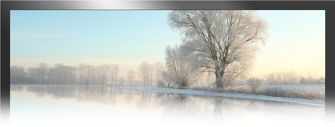 Please Select From The Following Forms Below - Tesco Frozen Tree Cushion (1170x511), Png Download