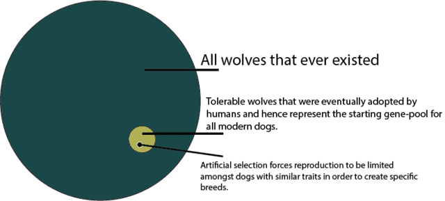 This Represents An Alarming Amount Of Forced Incest - Circle (640x289), Png Download
