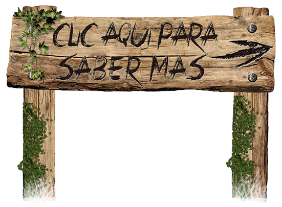 Cartel De Madera De Madera Png (556x419), Png Download