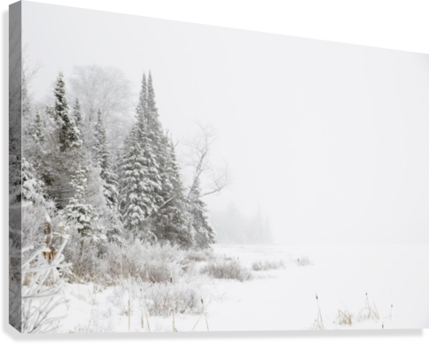 Snowy Winter Scene In The Algonquin Provincial Park - Supplier Generic Snowy Winter Scene In The Algonquin (429x344), Png Download