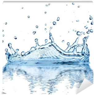 Water Splash, Isolated On White Background Wall Mural - Drop (400x400), Png Download