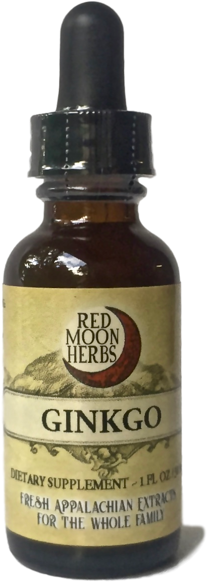 Ginkgo Ginko Herbal Extract Bottle For Brain And Mental - Extract Herbal (594x1236), Png Download