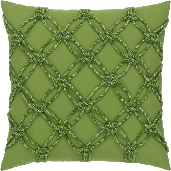 Maidenhair Tree (800x800), Png Download