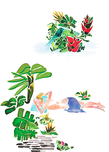 Activities - Floral Design (425x599), Png Download