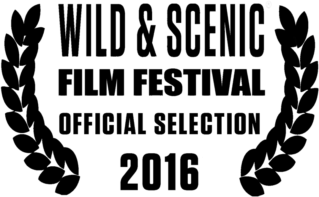 Picture - Film Festival Logo Png 2018 (1100x690), Png Download