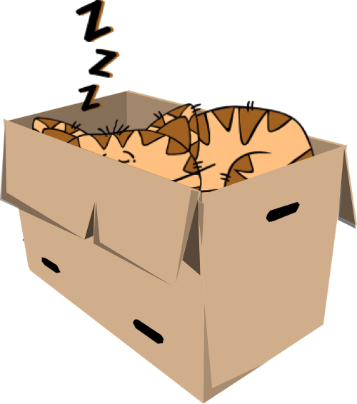 Sleep,cute,free - Cat In Box Cartoon Png (500x566), Png Download