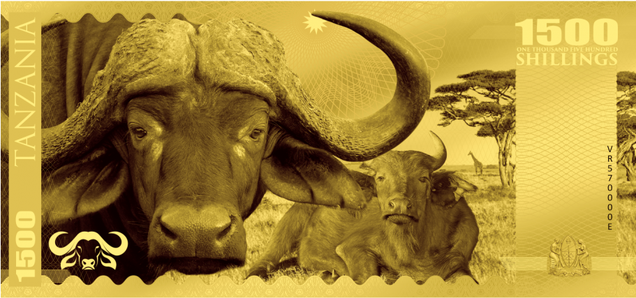 Buffalo Tanzania - Tanzania (910x910), Png Download