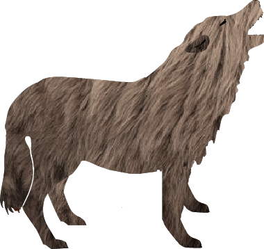 Hearing A Wolf Howl Is Both Eerie And Exciting - Glogster (380x358), Png Download