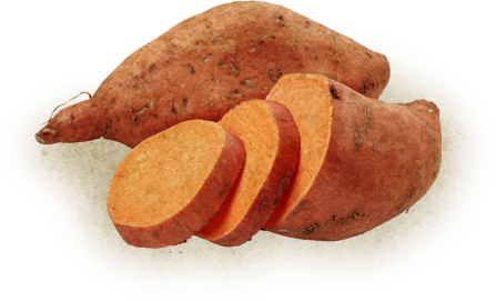 Growing Yams Is A Diffucult Task And The Size Of A - Gerber 1st Foods Vegetables - Sweet Potatoes - 2.5 (447x271), Png Download