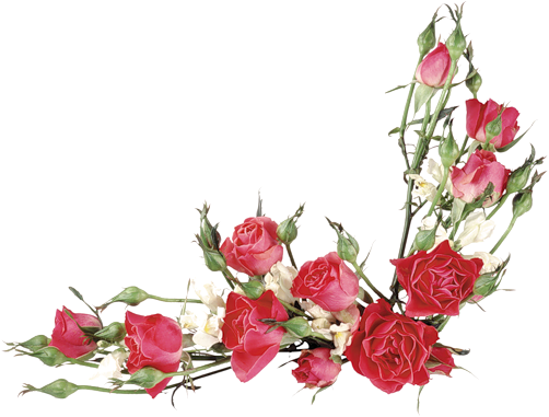 Imagens Em Png De Buquês E Cestas De Flores - Red Rose Border Watercolor Hd (502x381), Png Download
