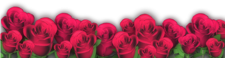 Free High Resolution Graphics And Clip Art - Flores Para Fondos Png (720x576), Png Download