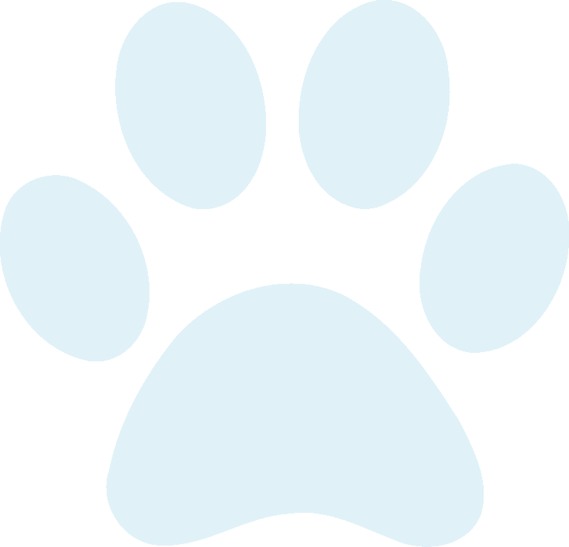 Dog Daycare & Training - Paw Print Clip Art (800x769), Png Download