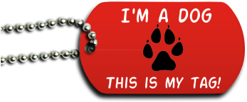 Pawprint Dog Tag - Oval Keytag (350x350), Png Download