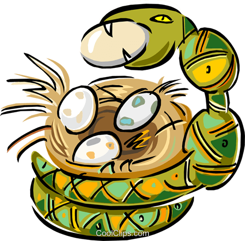 Snake Stealing Eggs Royalty Free Vector Clip Art Illustration - Illustration (480x472), Png Download