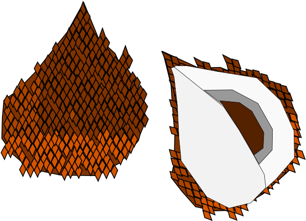 Snake Fruit Clipart (800x566), Png Download