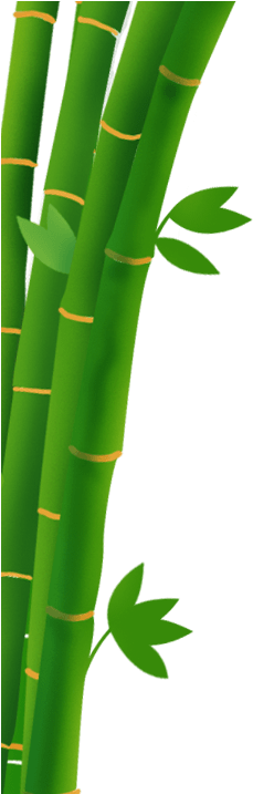 Bambu Merupakan Tanaman Yang Tidak Asing Lagi Untuk - Batang Bambu Png (242x716), Png Download