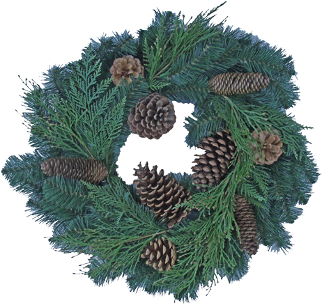 24" Douglas Fir/inc/cedar Wreath - Shortstraw Pine (500x457), Png Download