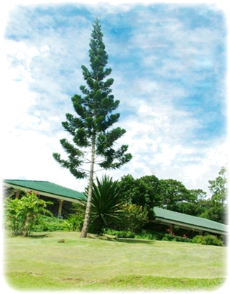Cottage/rooms Features Fixtures And Capacity - Red Pine (335x433), Png Download