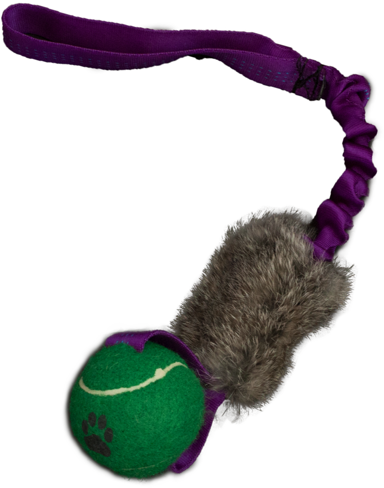 Bungee Bunny Ball Tug (1000x1000), Png Download