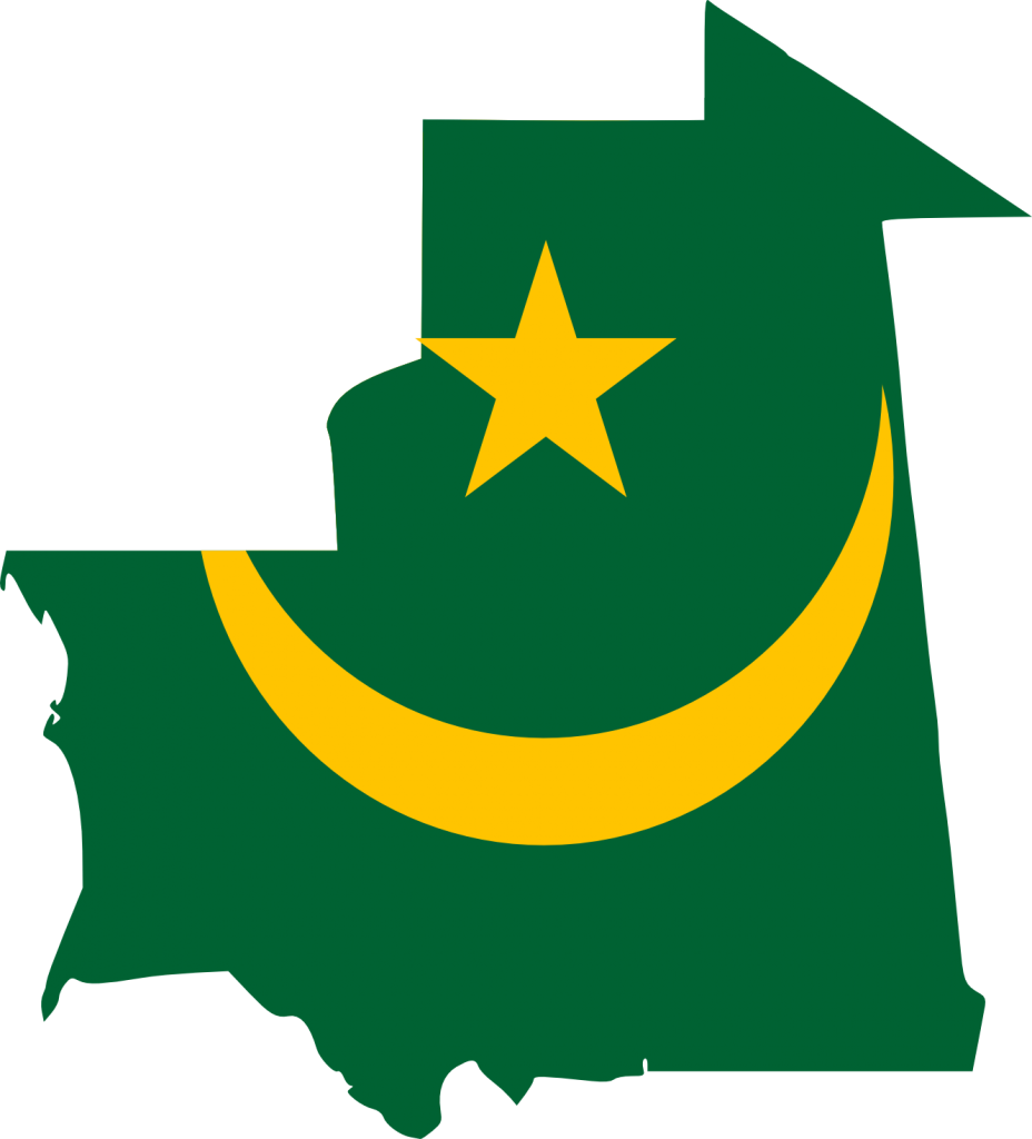 Mauritania - Tennessee College Of Applied Technology Logo (928x1024), Png Download