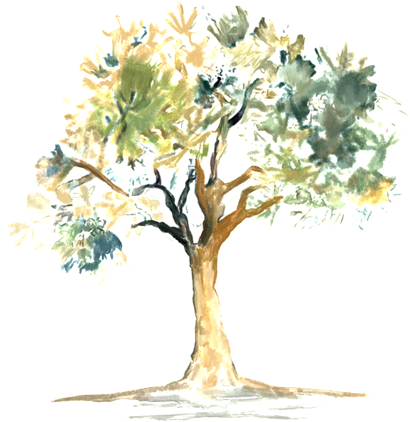 Pintado A Mano De Color Rosa Dibujos Animados Arboles - 水彩 樹 (1024x1024), Png Download