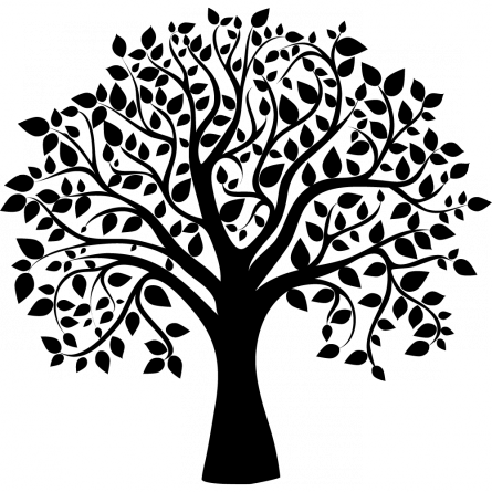 Simulate The Colour Of The Backing - Sociology: The Basics [book] (445x445), Png Download