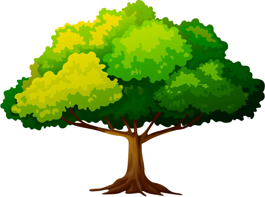 Яндекс - Фотки - Tree (1024x764), Png Download