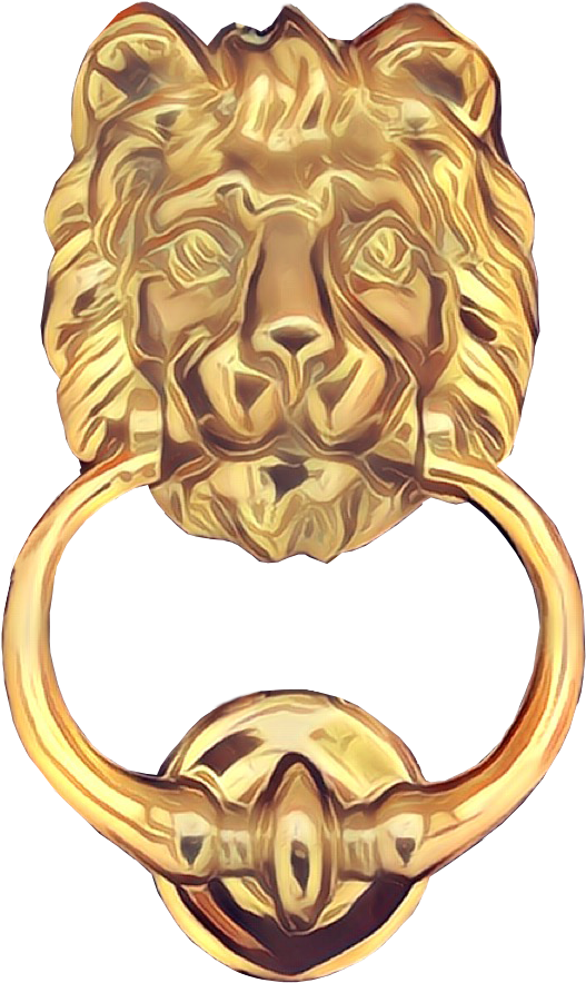 Just Knock And Join The Airready Family - Lion (544x906), Png Download