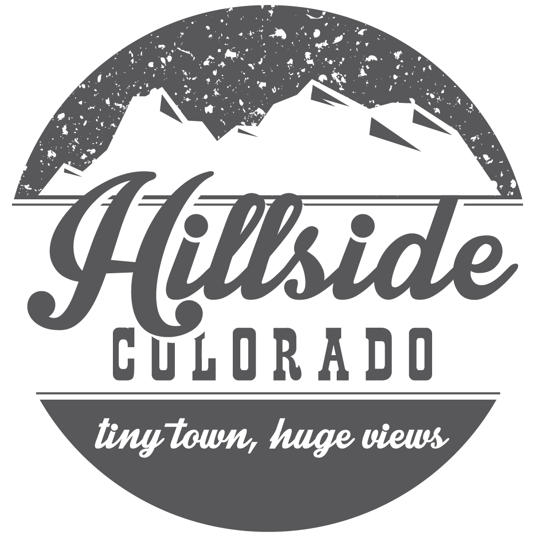 Lodging Near Westcliffe, Colorado - Well Behaved Women Hillary Magnet (1158x1138), Png Download