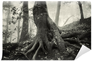 Old Tree With Huge Roots In A Spooky Forest With Dark - Tree Of Hands [book] (400x400), Png Download