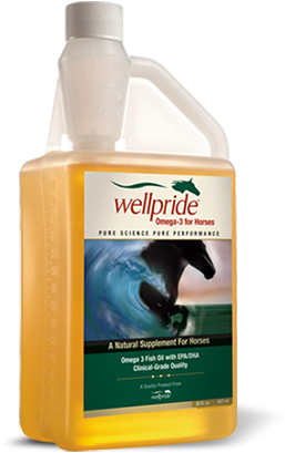 Fish Oil (600x450), Png Download