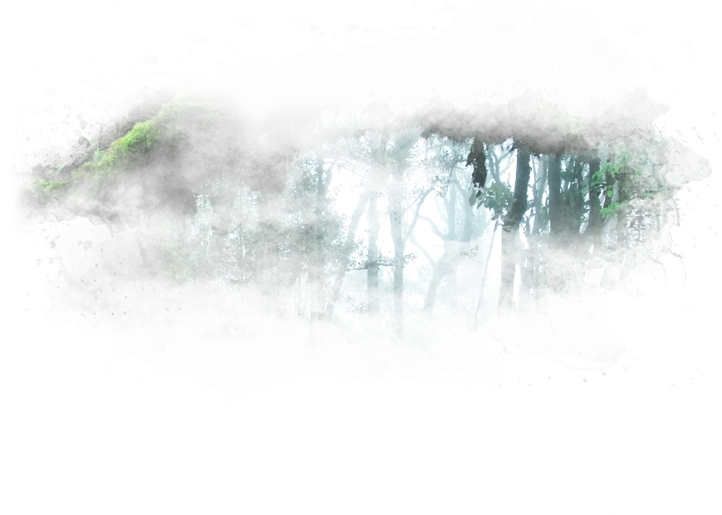 Tropical Rainforest (1727x1056), Png Download