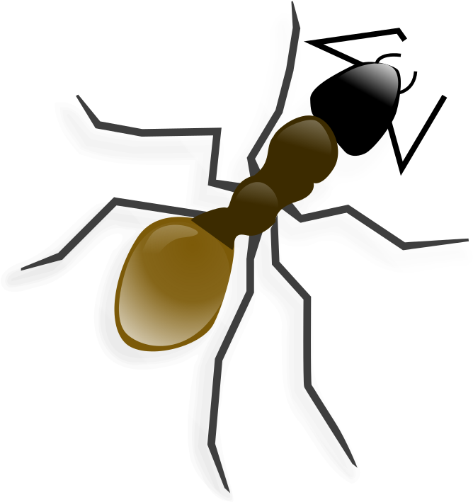 La Hormiga - Ant Clip Art (800x800), Png Download