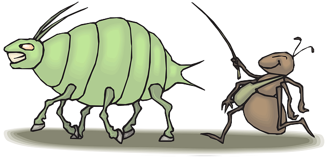Son Las Hormigas Tan Trabajadoras - Aphid (800x400), Png Download