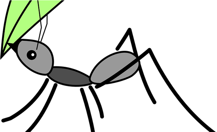 Picaduras De Hormiga - Ant Carrying Leaf Cartoon (772x456), Png Download