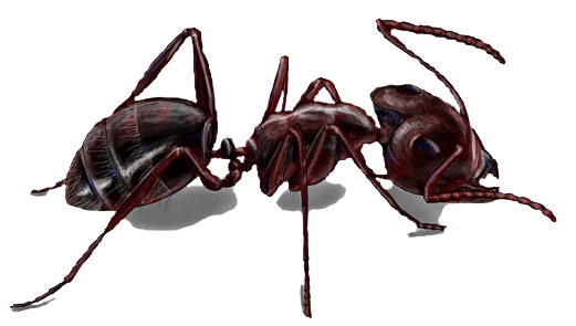 Texturas/graph "); //implementamos El Escenario Hormiga - Carpenter Ants (530x349), Png Download