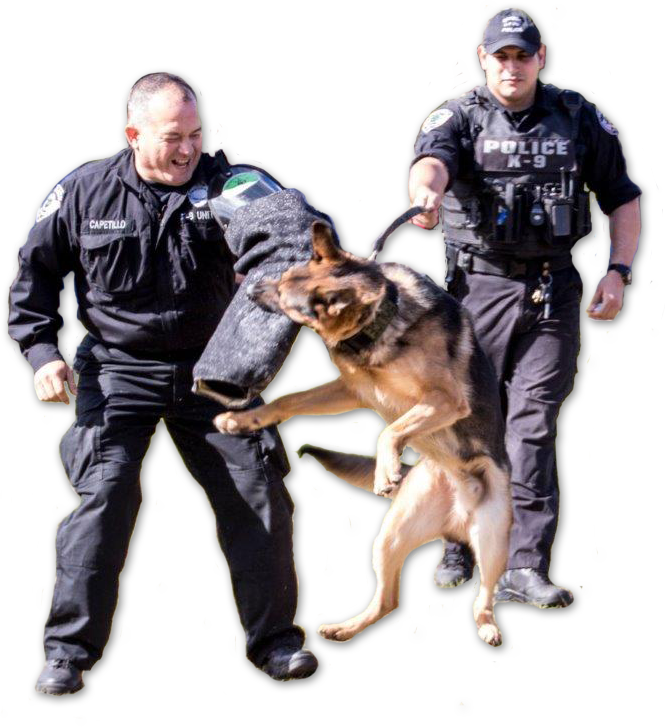 Police (665x727), Png Download