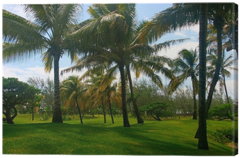 Palm Trees (400x400), Png Download