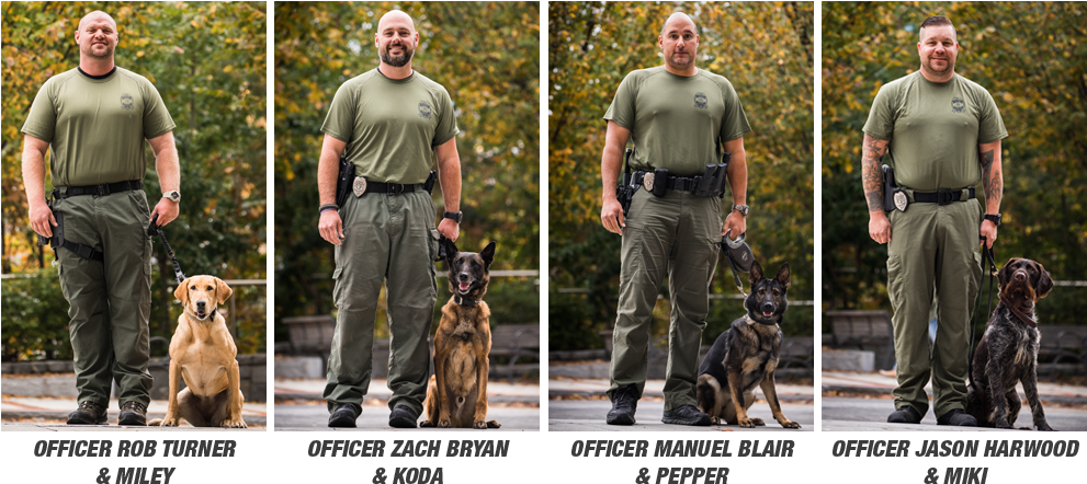 Georgia Tech K9 Unit, Photos By Dalton Touchberry - German Shepherd Dog (1024x471), Png Download