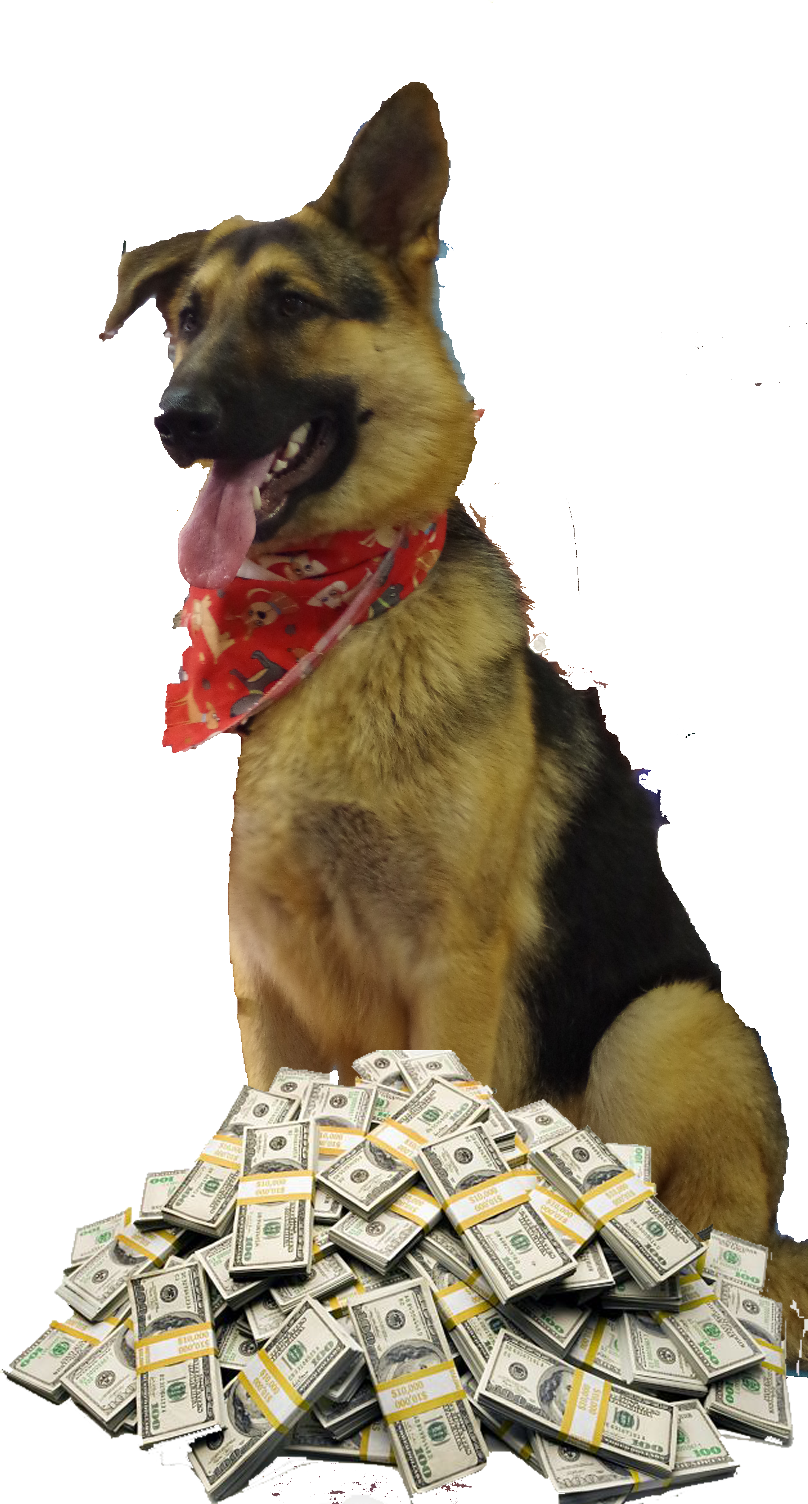 2014 Raffle Dog Image - Passive Income: Turn Your Skills Into Money Without (3264x4928), Png Download