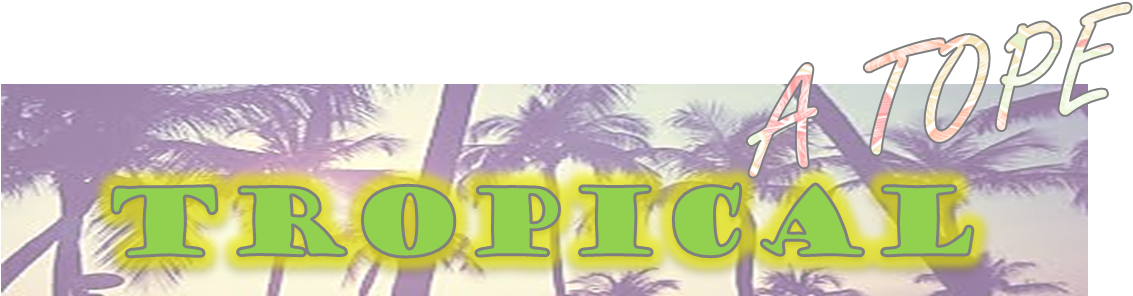 Camisetas Con Piñas, Loros, Palmeras, Molaaaaaaaaa - Roller Coaster (1233x453), Png Download