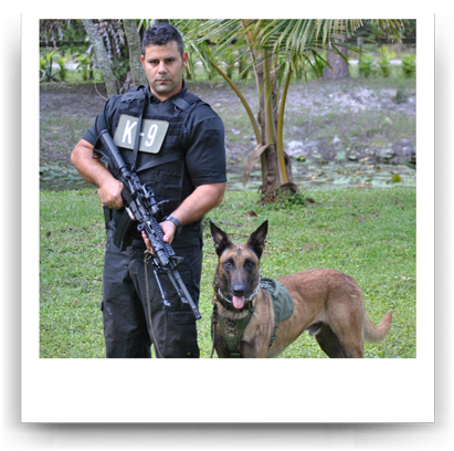 Scenarios For The K9 Training Day - Old German Shepherd Dog (450x466), Png Download