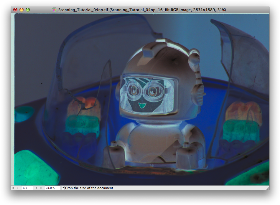 Picture - Negative (957x703), Png Download