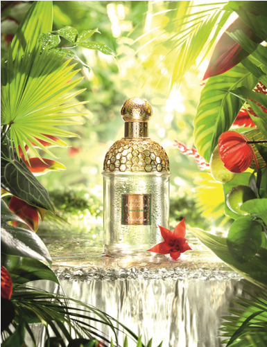 Guerlain Aqua Allegoria Limon Verde 75ml Eau De Toilette - Aqua Allegoria (500x500), Png Download