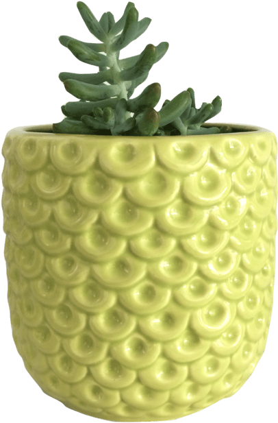 Pineapple (640x632), Png Download