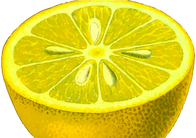 Venenos Caseros Para Garrapatas (772x456), Png Download